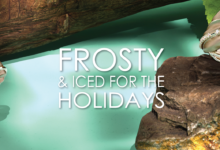 Fairmined Virtual Edit: Frosty and iced for the holidays